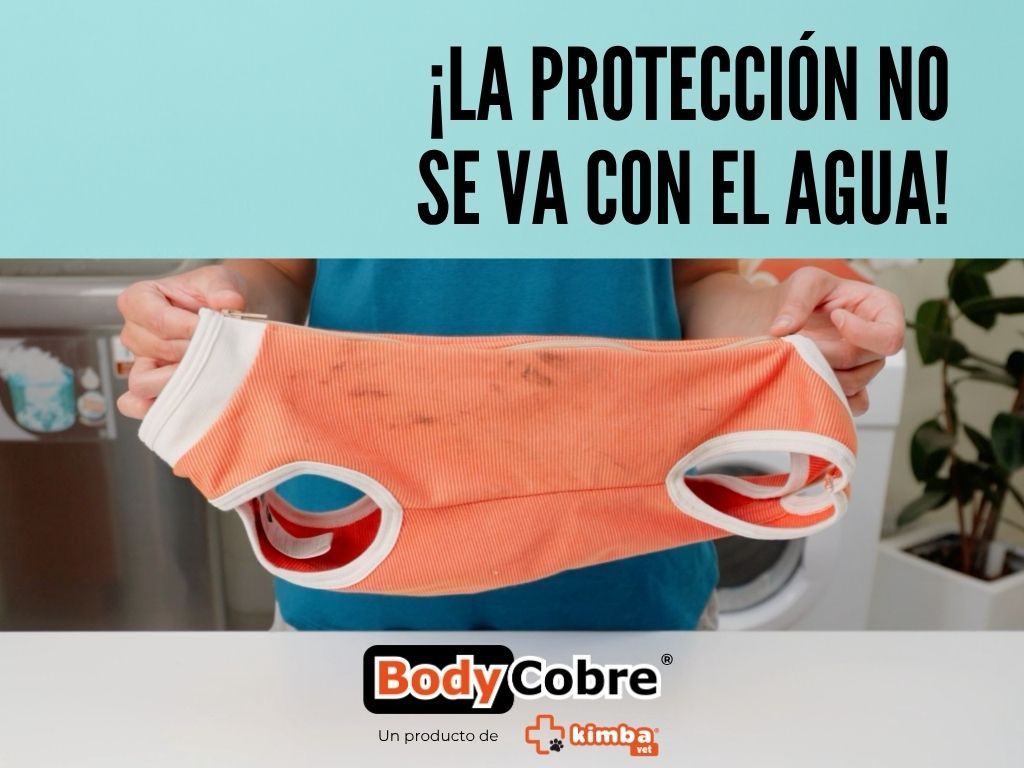 ropa quirúrgica con cobre para perros