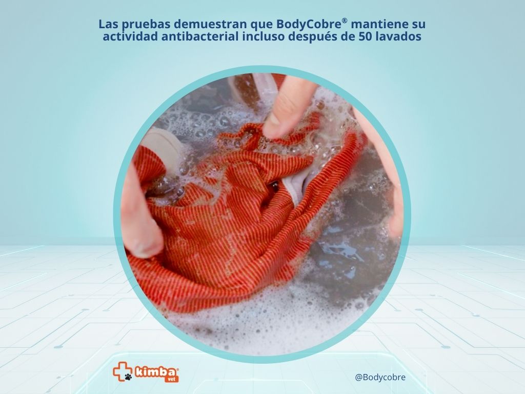 estudio ropa antimicrobiana mascotas