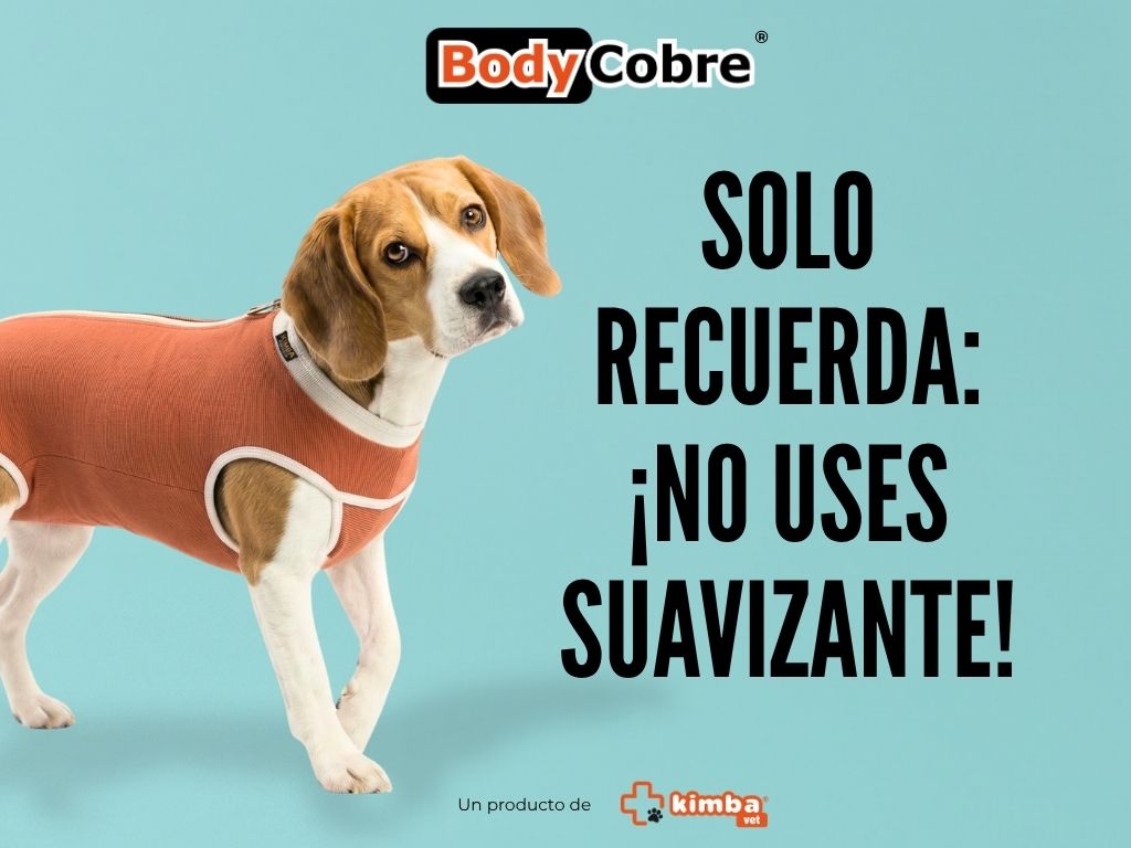 cuidado ropa quirúrgica mascotas